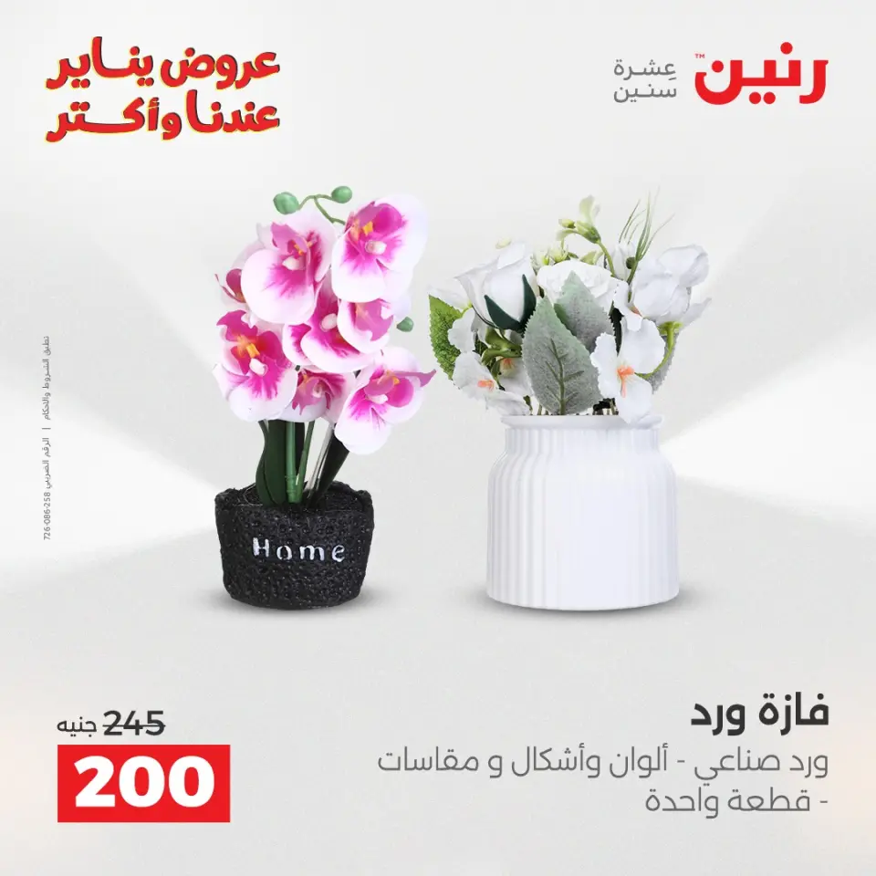 Raneen Egypt Offers from 25 to 26 January 2026 Decorative pieces offers - Page 32