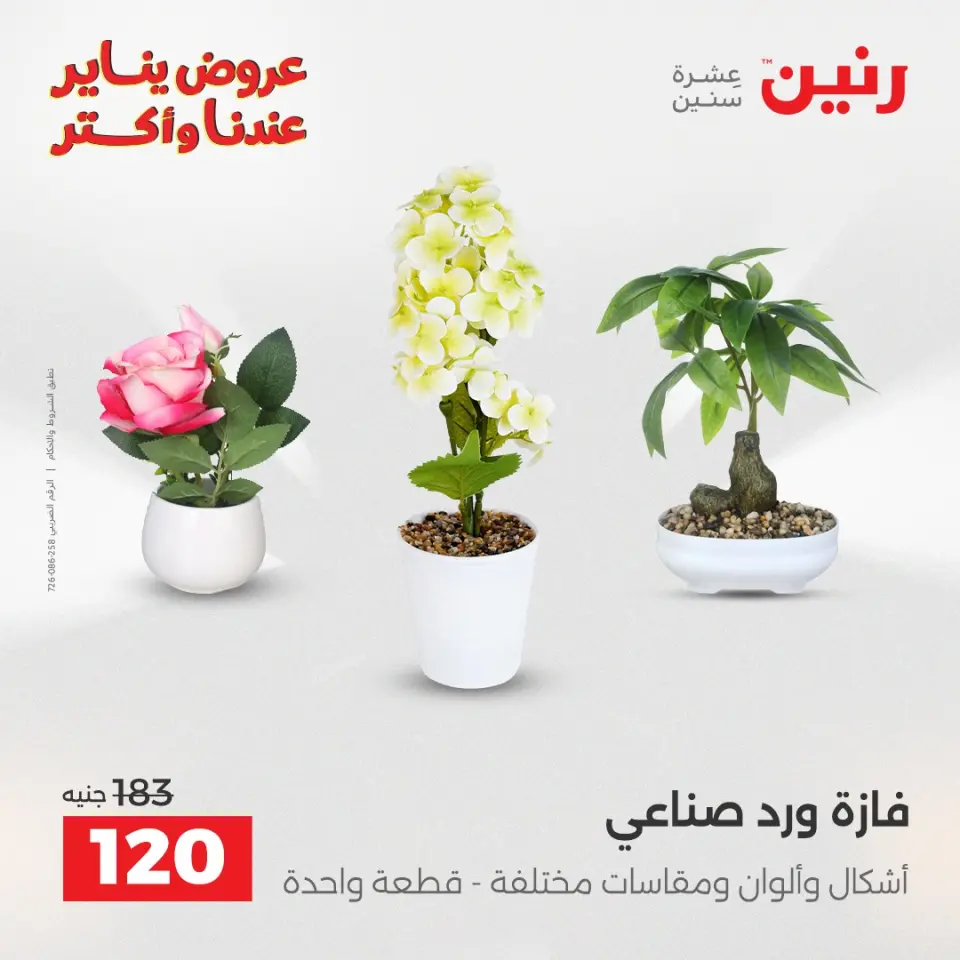Raneen Egypt Offers from 27 to 28 January 2026 Decorative pieces offers - Page 35