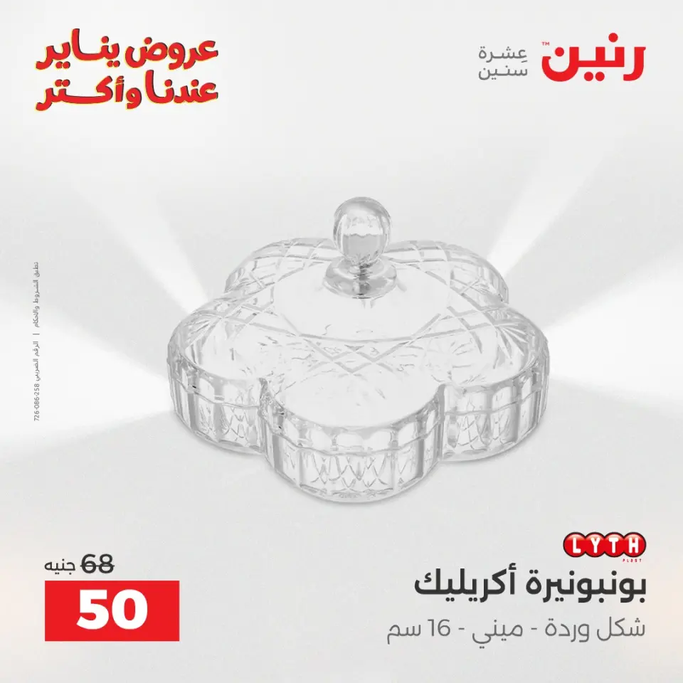 Raneen Egypt Offers from 27 to 28 January 2026 Decorative pieces offers - Page 30