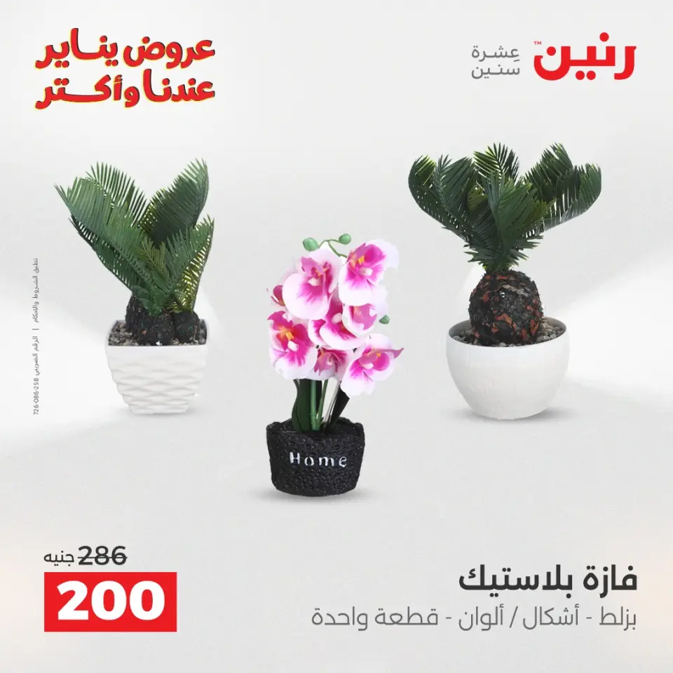 Raneen Egypt Offers from 27 to 28 January 2026 Decorative pieces offers - Page 33