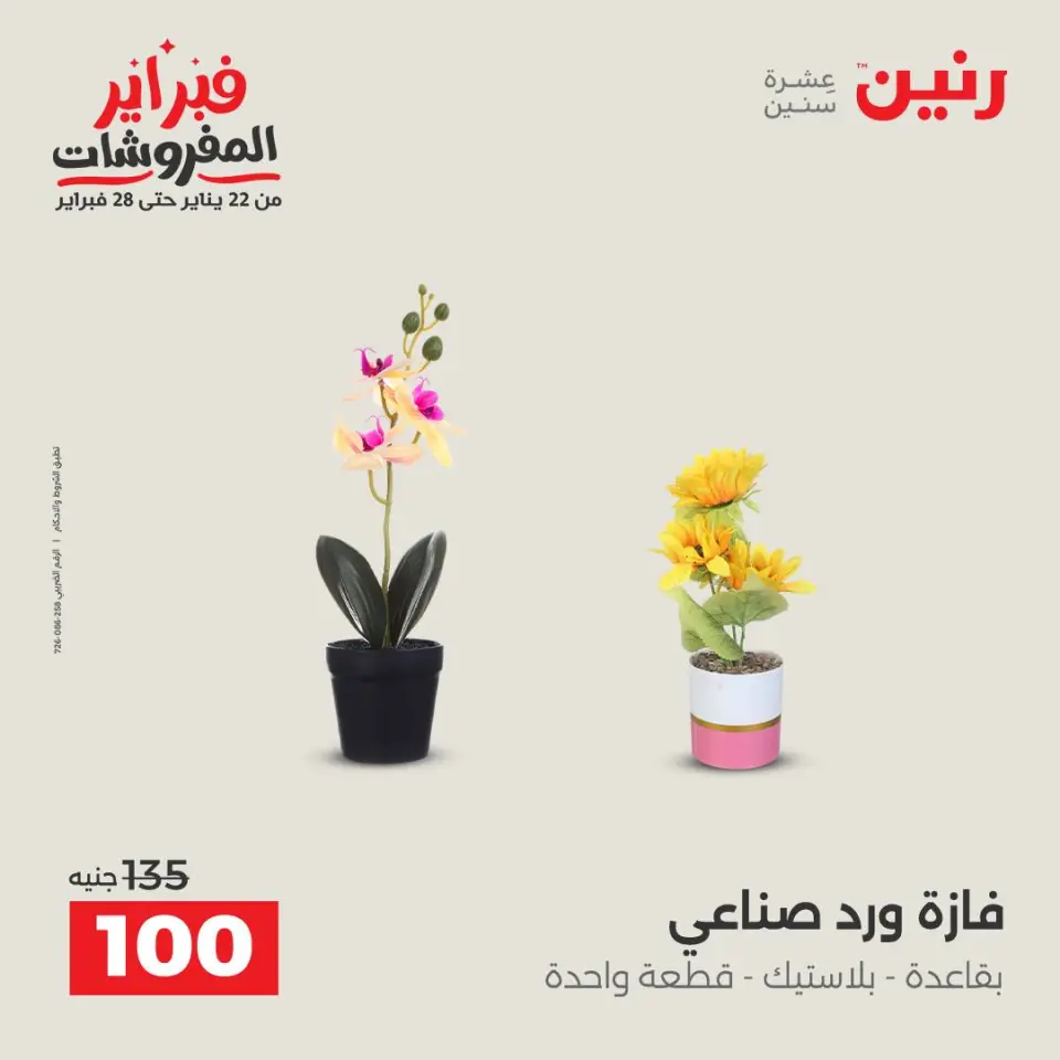 Raneen Egypt Offers from 3 to 4 February 2026 Decorative pieces offers - Page 41
