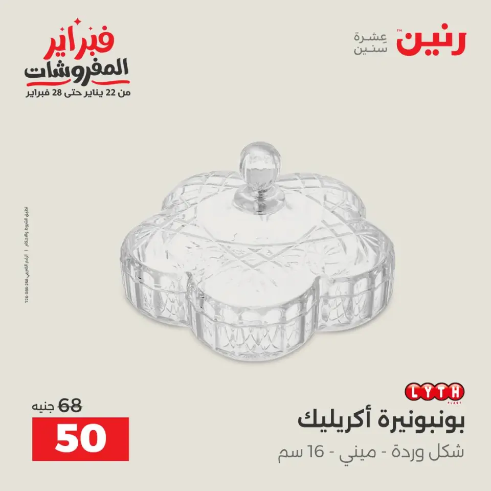 Raneen Egypt Offers from 3 to 4 February 2026 Decorative pieces offers - Page 16