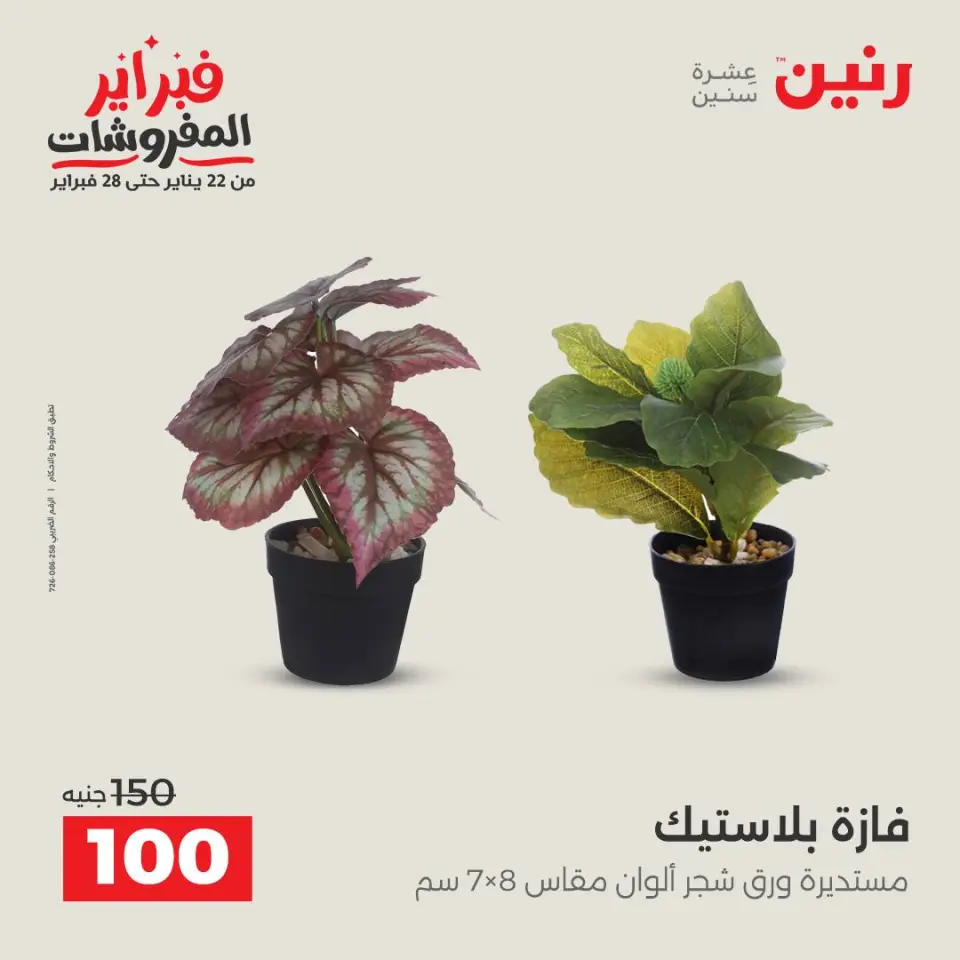 Raneen Egypt Offers from 3 to 4 February 2026 Decorative pieces offers - Page 39
