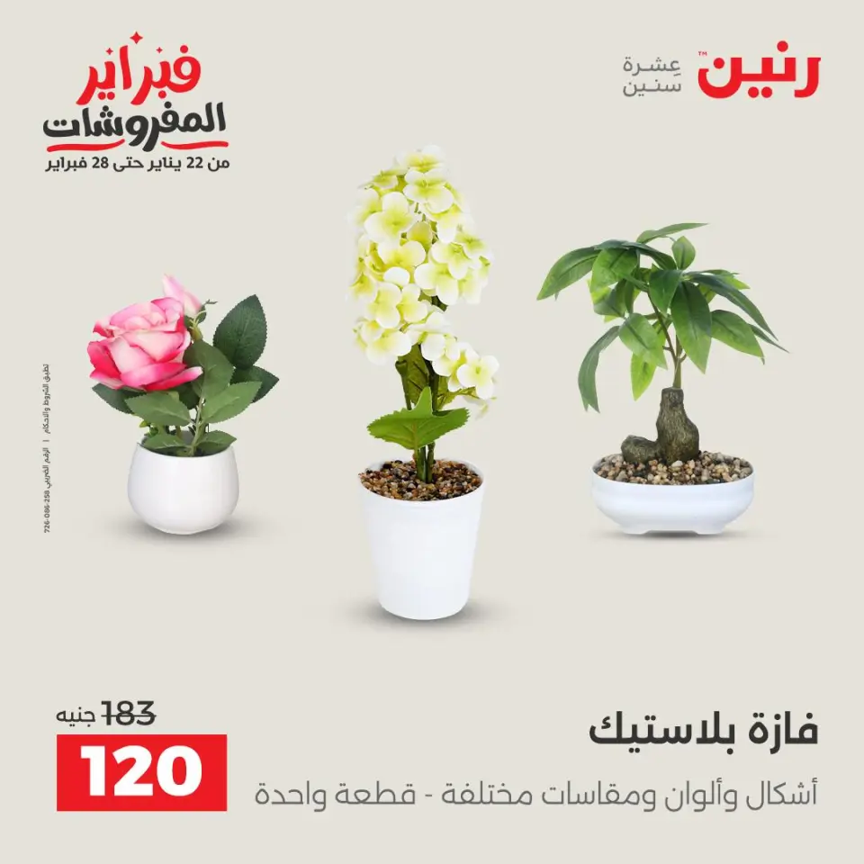 Raneen Egypt Offers from 5 to 7 February 2026 Decorative pieces offers - Page 38