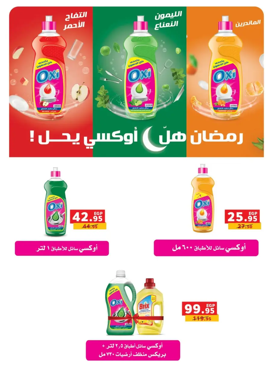 Panda Egypt Offers from 16 February to 3 March 2026 Ramadan Kareem Offers - Page 55