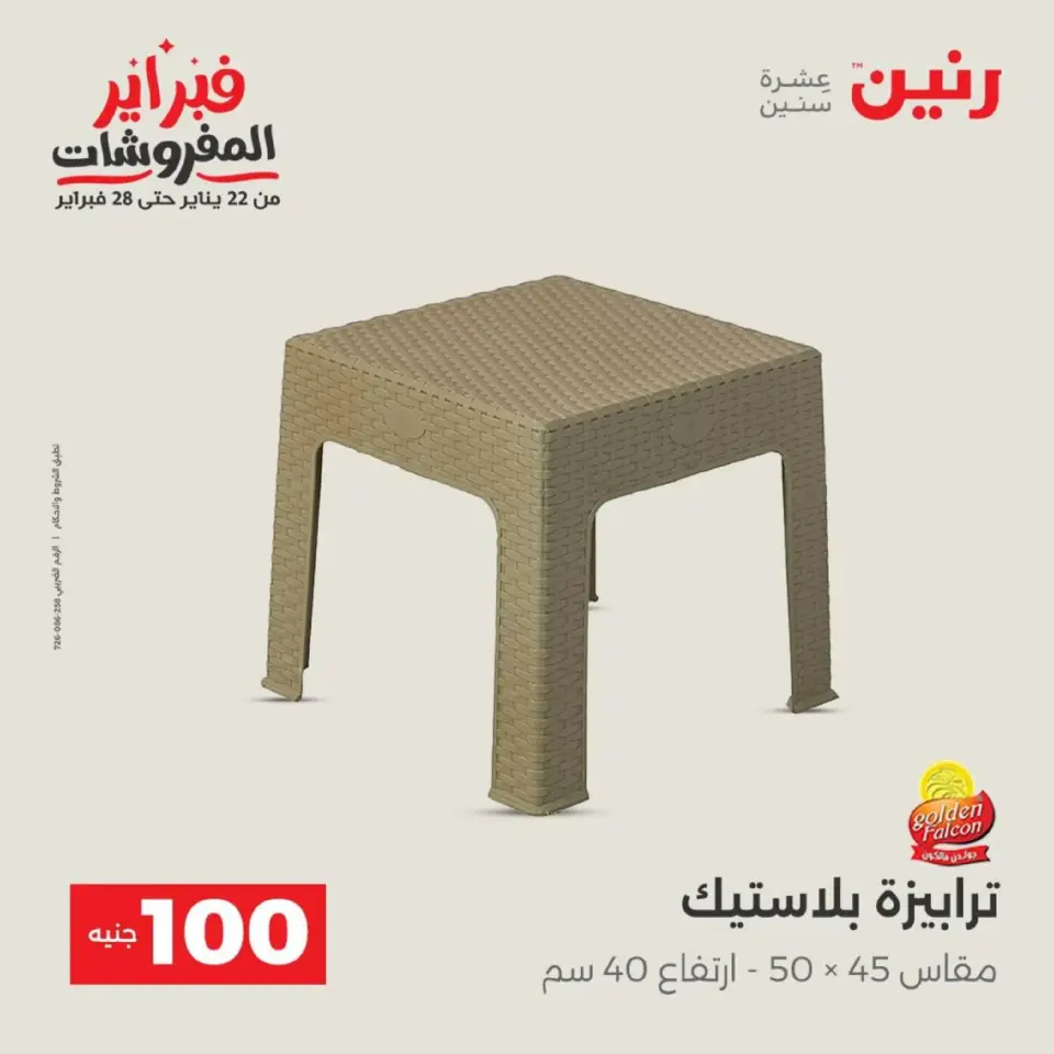 Raneen Egypt Offers from 17 to 18 February 2026 The 100 EGP Offer - Page 46