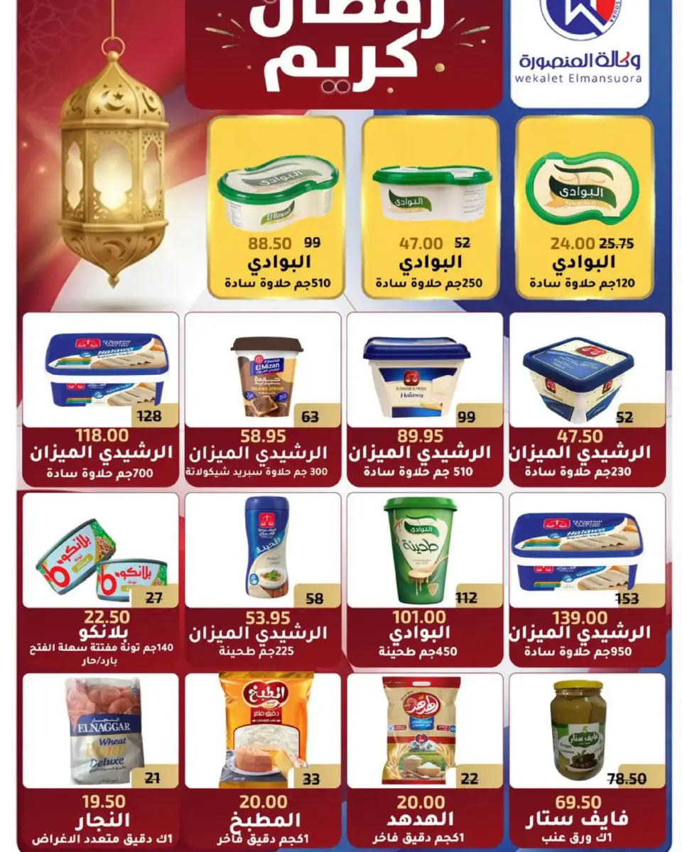 Wekalet Elmansoura Egypt Offers from 16 February to 10 March 2026 Ramadan Offers - Page 67