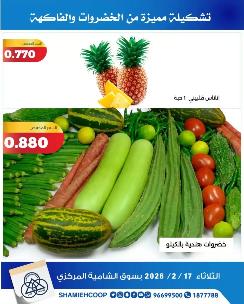 Shamieh coop Kuwait Offers Tuesday 17 February Vegetable and fruit offers - Page 5