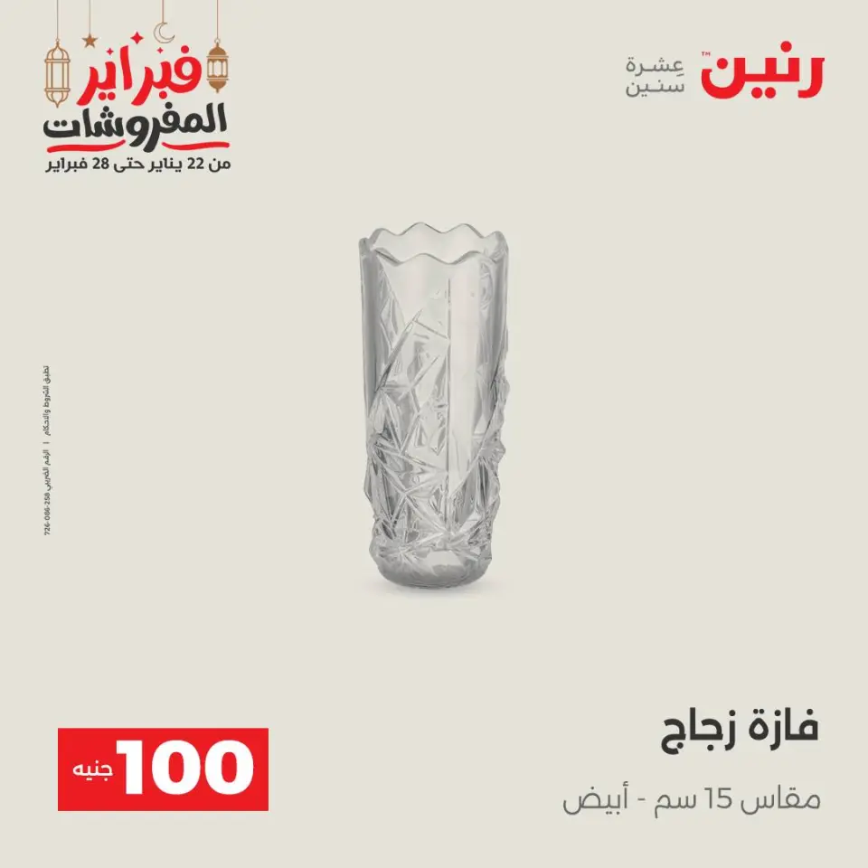 Raneen Egypt Offers from 24 to 25 February 2026 The 100 EGP Offer - Page 41