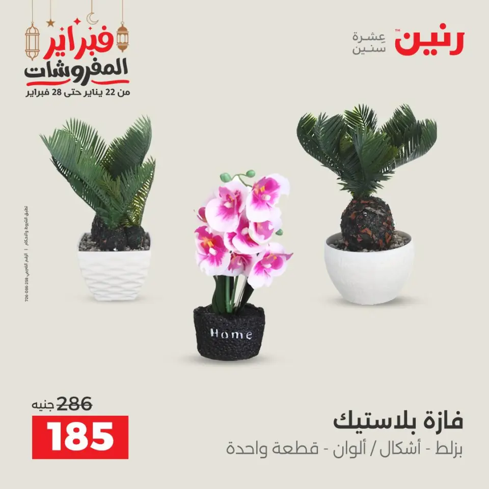 Raneen Egypt Offers from 24 to 25 February 2026 Decorative pieces offers - Page 43