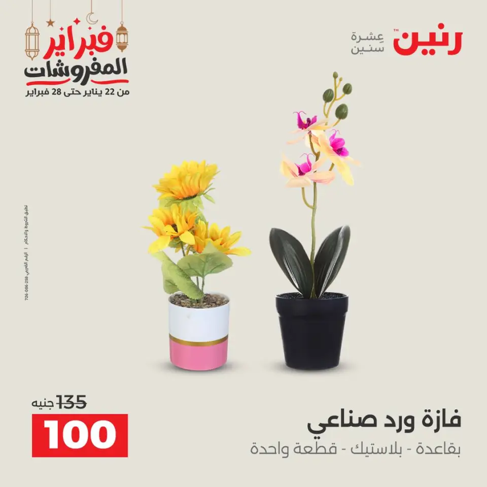 Raneen Egypt Offers from 24 to 25 February 2026 Decorative pieces offers - Page 47