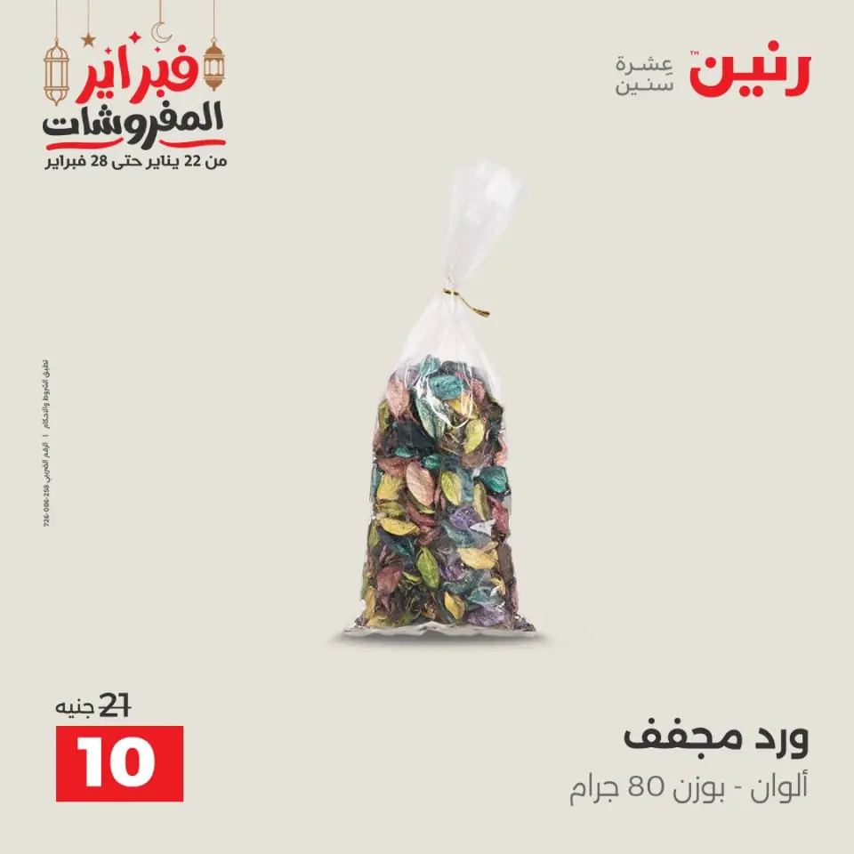 Raneen Egypt Offers from 24 to 25 February 2026 Decorative pieces offers - Page 60