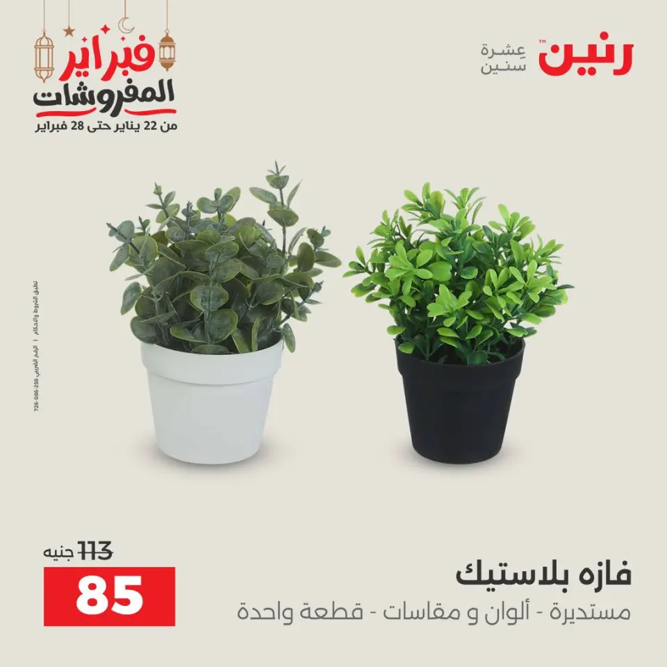 Raneen Egypt Offers from 24 to 25 February 2026 Decorative pieces offers - Page 48