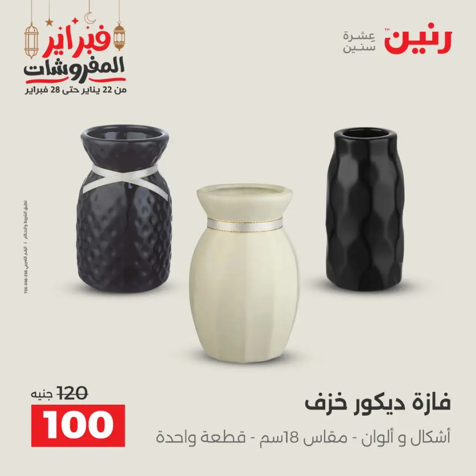 Raneen Egypt Offers from 24 to 25 February 2026 Decorative pieces offers - Page 41
