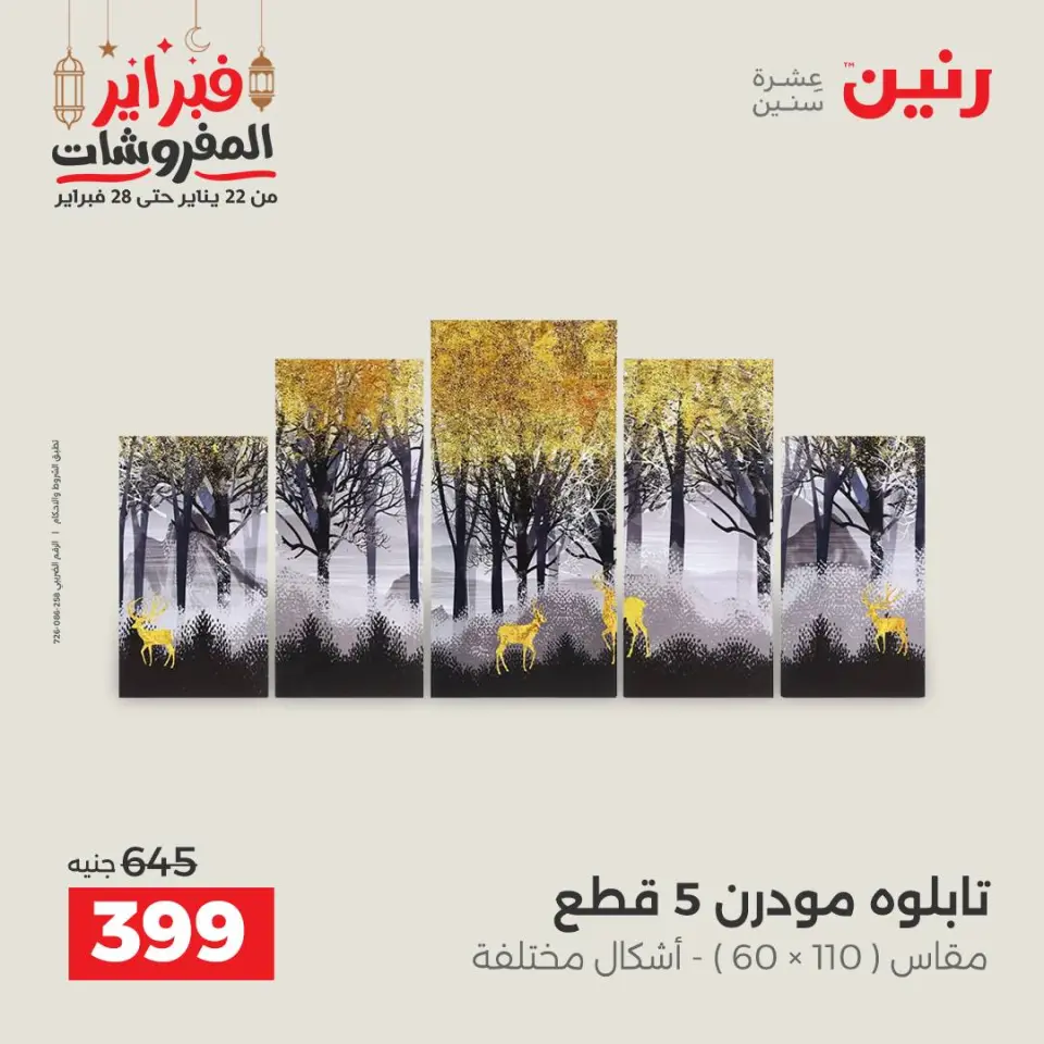 Raneen Egypt Offers from 24 to 25 February 2026 Decorative pieces offers - Page 6