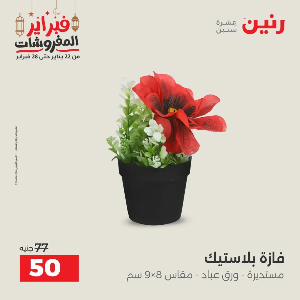Raneen Egypt Offers from 24 to 25 February 2026 Decorative pieces offers - Page 51