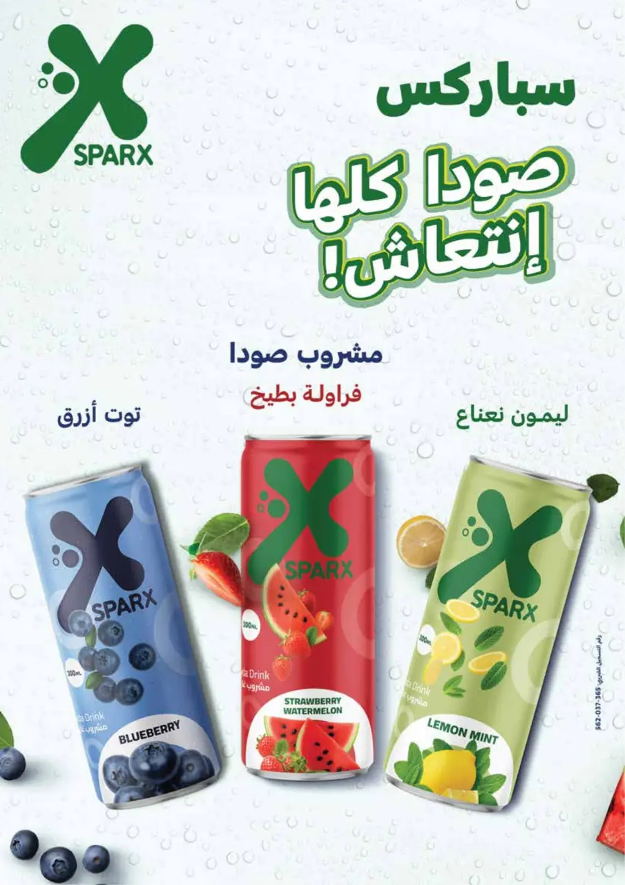 Royal House Egypt Offers from 25 February to 20 March 2026 Monthly magazine of offers - Page 37