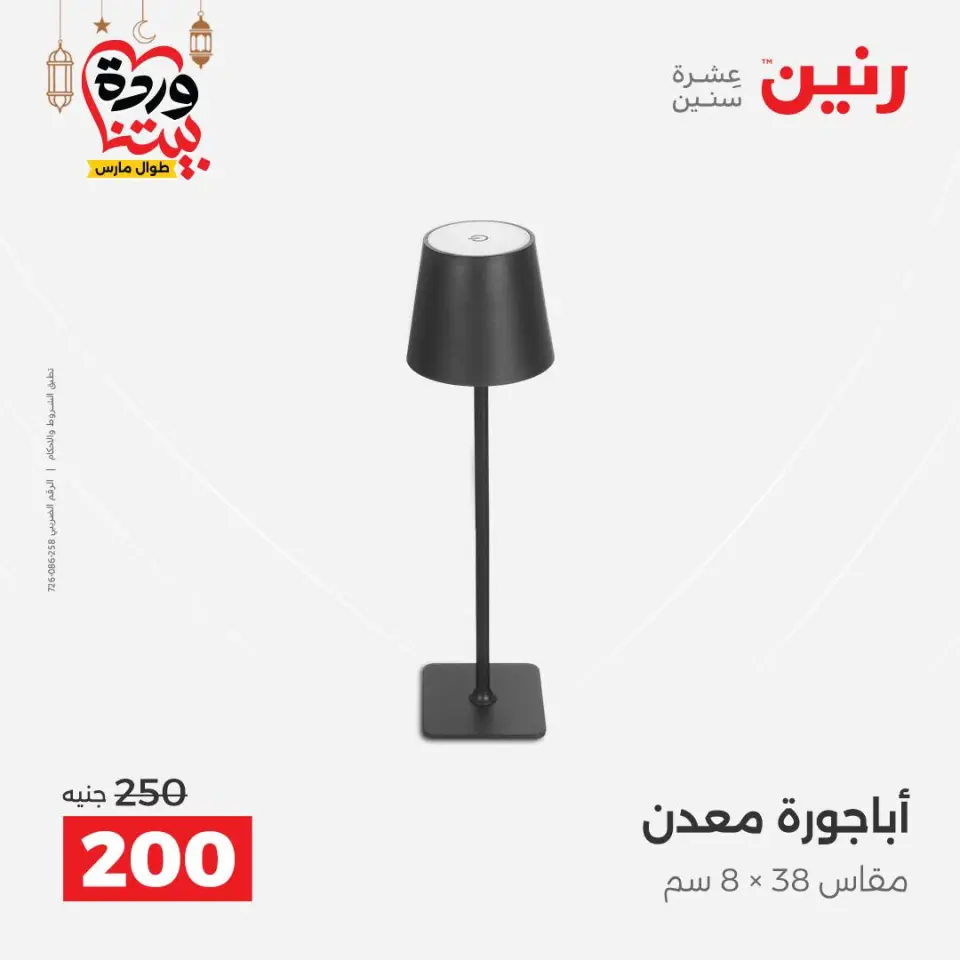 Raneen Egypt Offers from 1 to 2 March 2026 Decorative pieces offers - Page 47