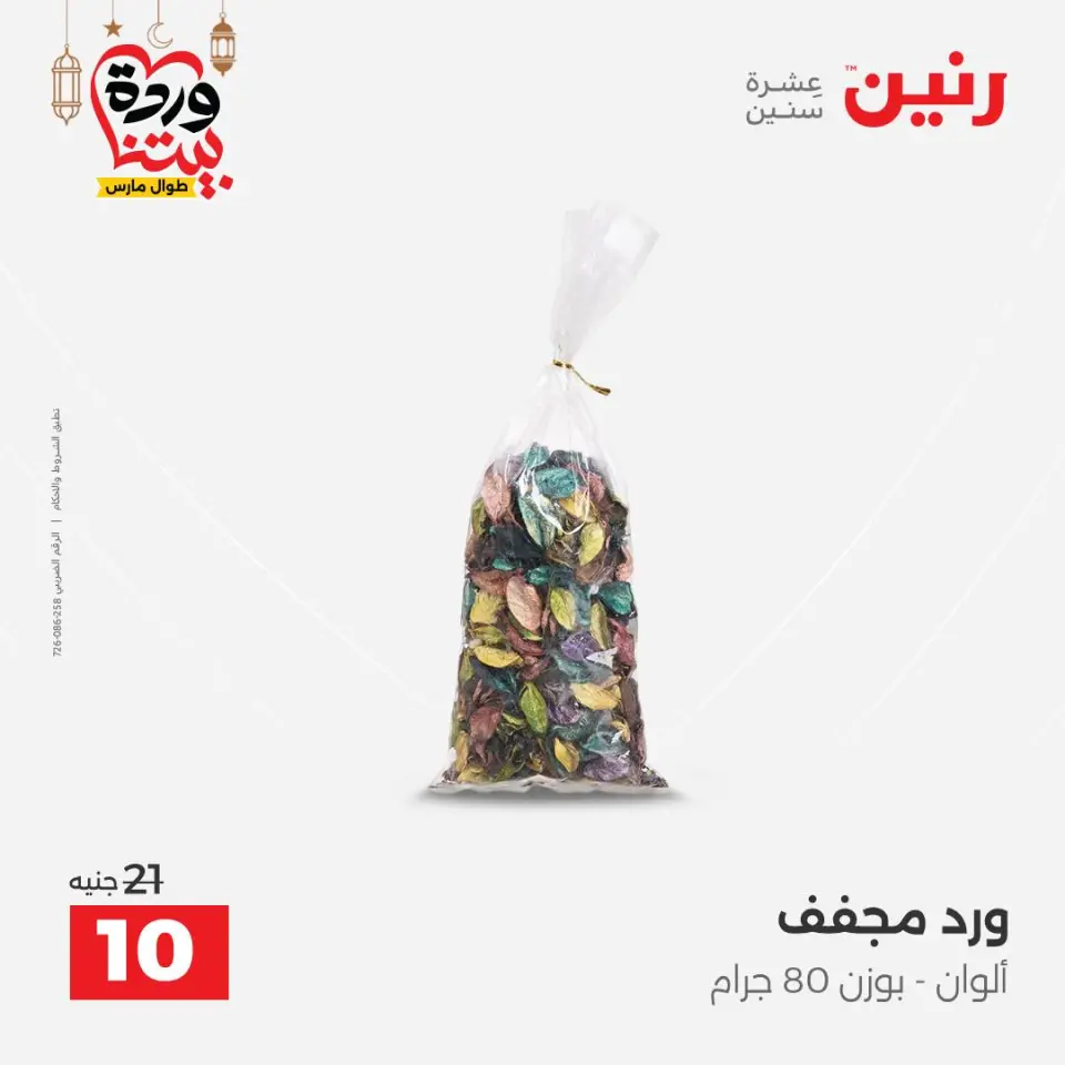 Raneen Egypt Offers from 1 to 2 March 2026 Decorative pieces offers - Page 45