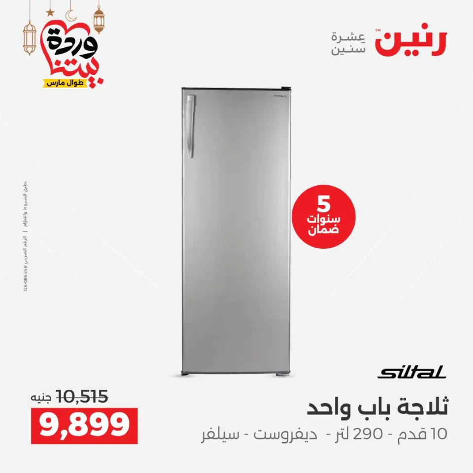 Raneen Egypt Offers from 1 to 2 March 2026 Electrical appliances offers - Page 15
