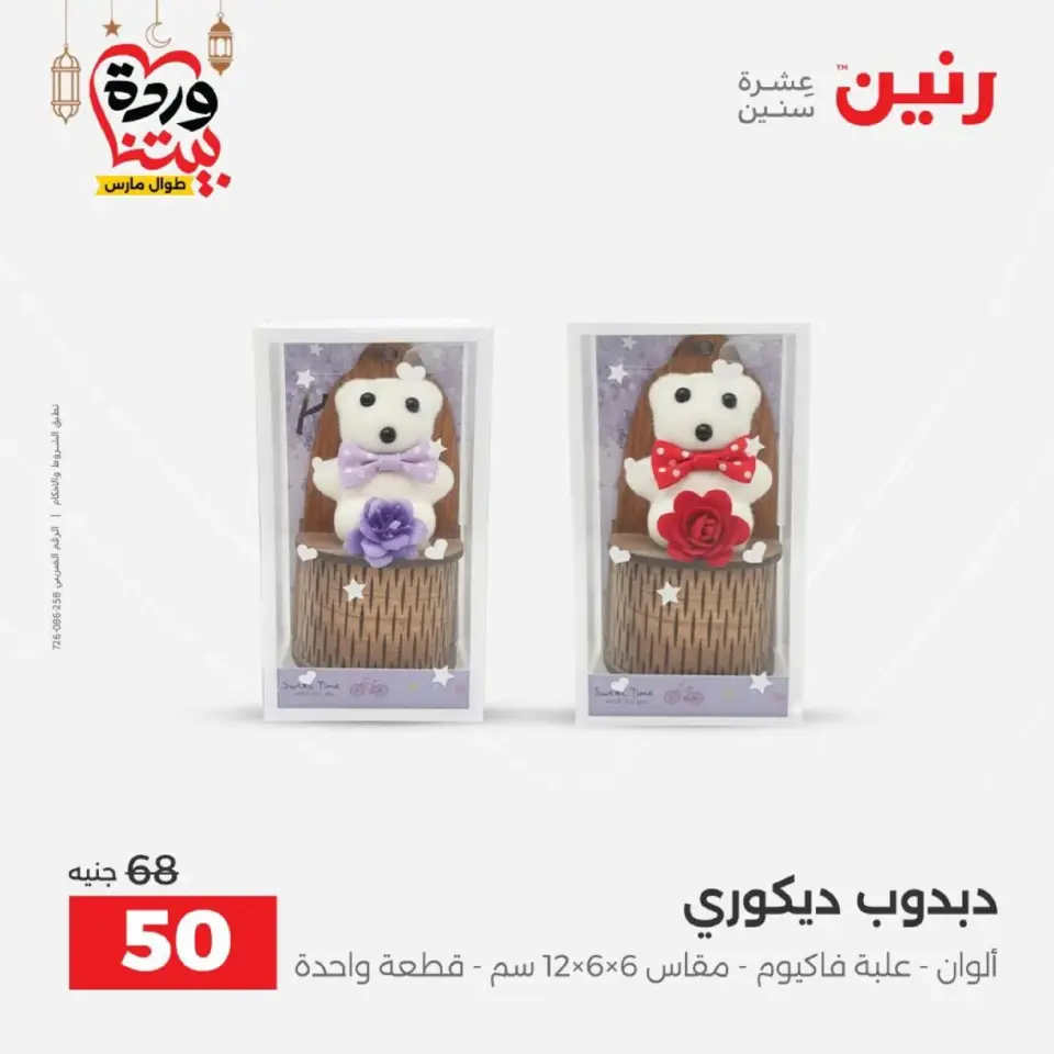 Raneen Egypt Offers from 1 to 2 March 2026 Gifts and Decorations Offers - Page 50