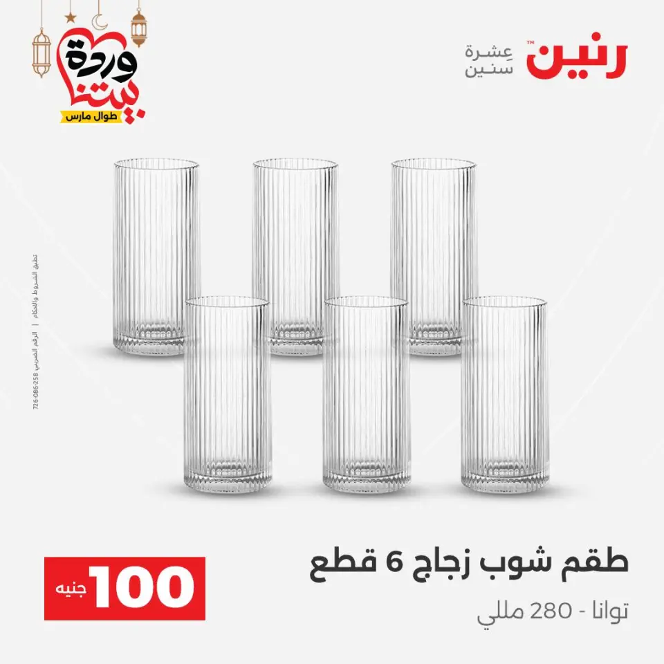 Raneen Egypt Offers from 3 to 4 March 2026 The 100 EGP Offer - Page 13