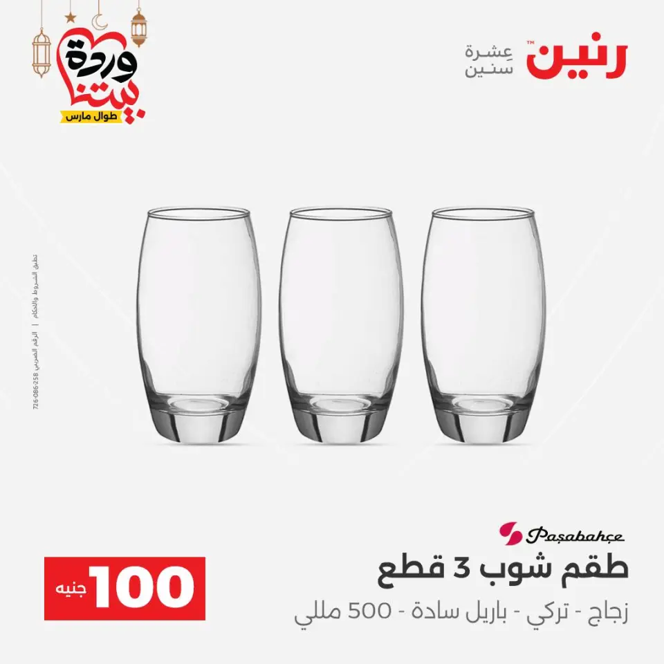 Raneen Egypt Offers from 3 to 4 March 2026 The 100 EGP Offer - Page 17