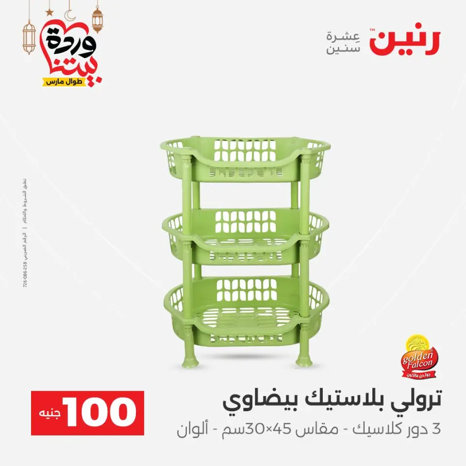 Raneen Egypt Offers from 3 to 4 March 2026 The 100 EGP Offer - Page 51