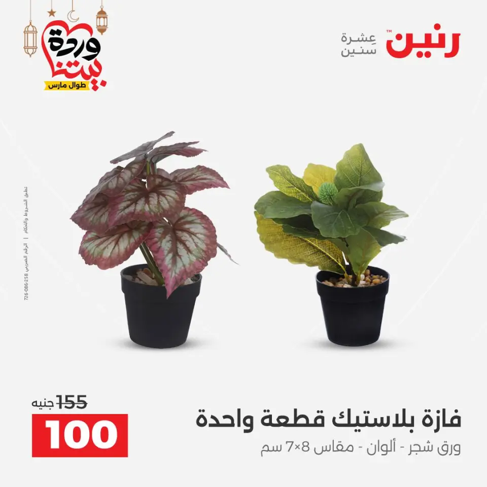Raneen Egypt Offers from 3 to 4 March 2026 Gifts and Decorations Offers - Page 46