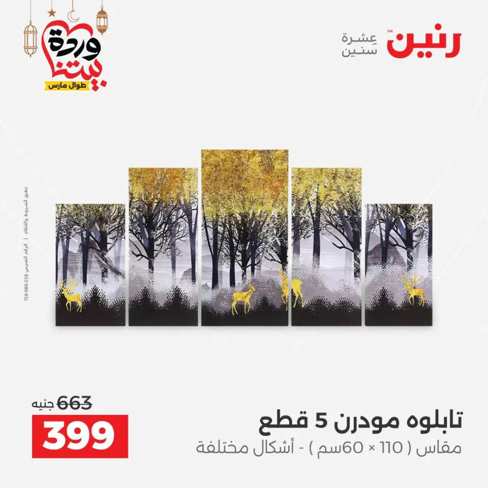 Raneen Egypt Offers from 8 to 9 March 2026 Gifts and Decorations Offers - Page 2