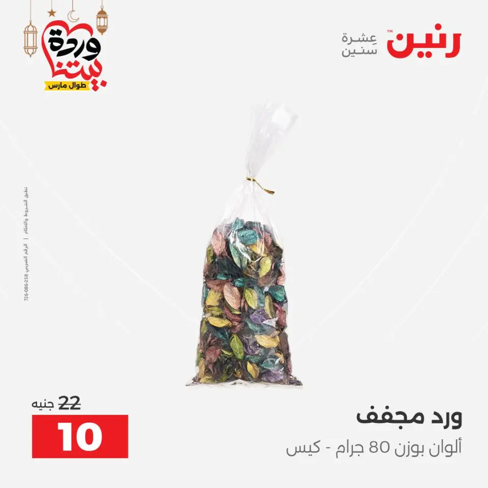 Raneen Egypt Offers from 8 to 9 March 2026 Gifts and Decorations Offers - Page 49