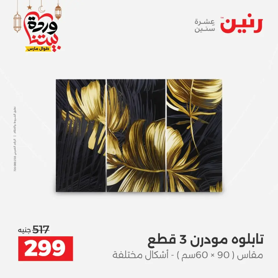 Raneen Egypt Offers from 8 to 9 March 2026 Gifts and Decorations Offers - Page 7