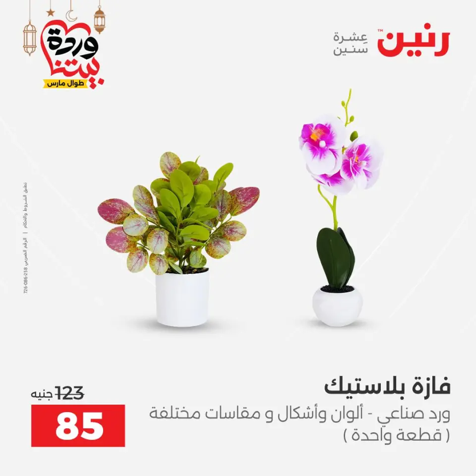 Raneen Egypt Offers from 8 to 9 March 2026 Gifts and Decorations Offers - Page 40