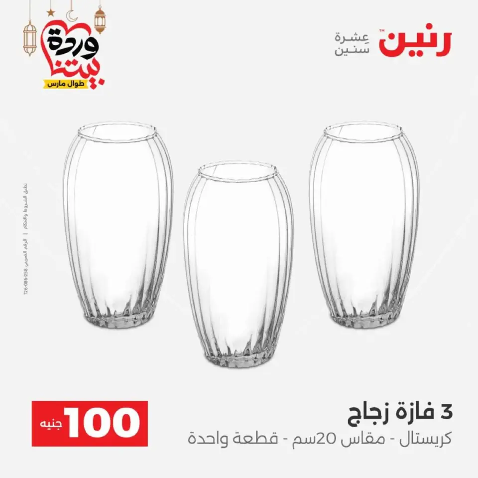 Raneen Egypt Offers from 10 to 11 March 2026 The 100 EGP Offer - Page 35