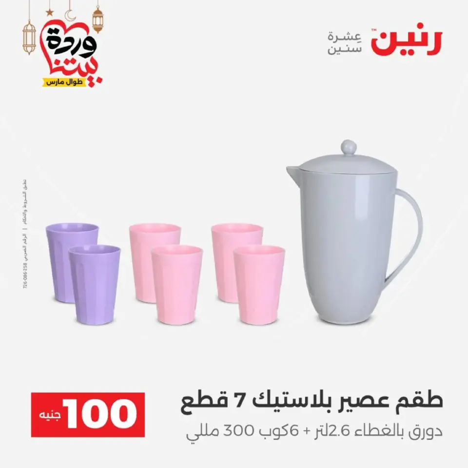 Raneen Egypt Offers from 10 to 11 March 2026 The 100 EGP Offer - Page 46
