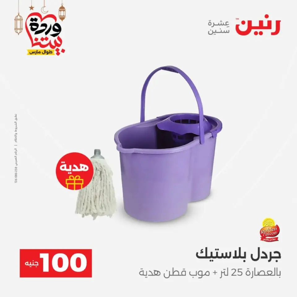 Raneen Egypt Offers from 10 to 11 March 2026 The 100 EGP Offer - Page 56