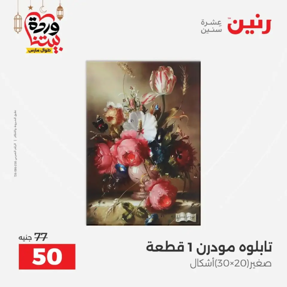 عروض رنين من ١٠ حتى ١١ مارس ٢٠٢٦ عروض هدايا وديكورات - صفحة 15