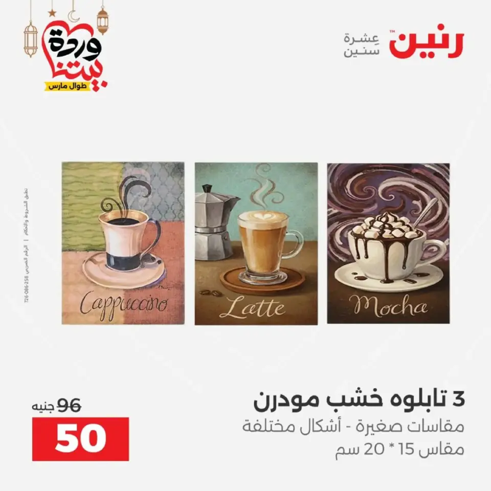 عروض رنين من ١٠ حتى ١١ مارس ٢٠٢٦ عروض هدايا وديكورات - صفحة 16
