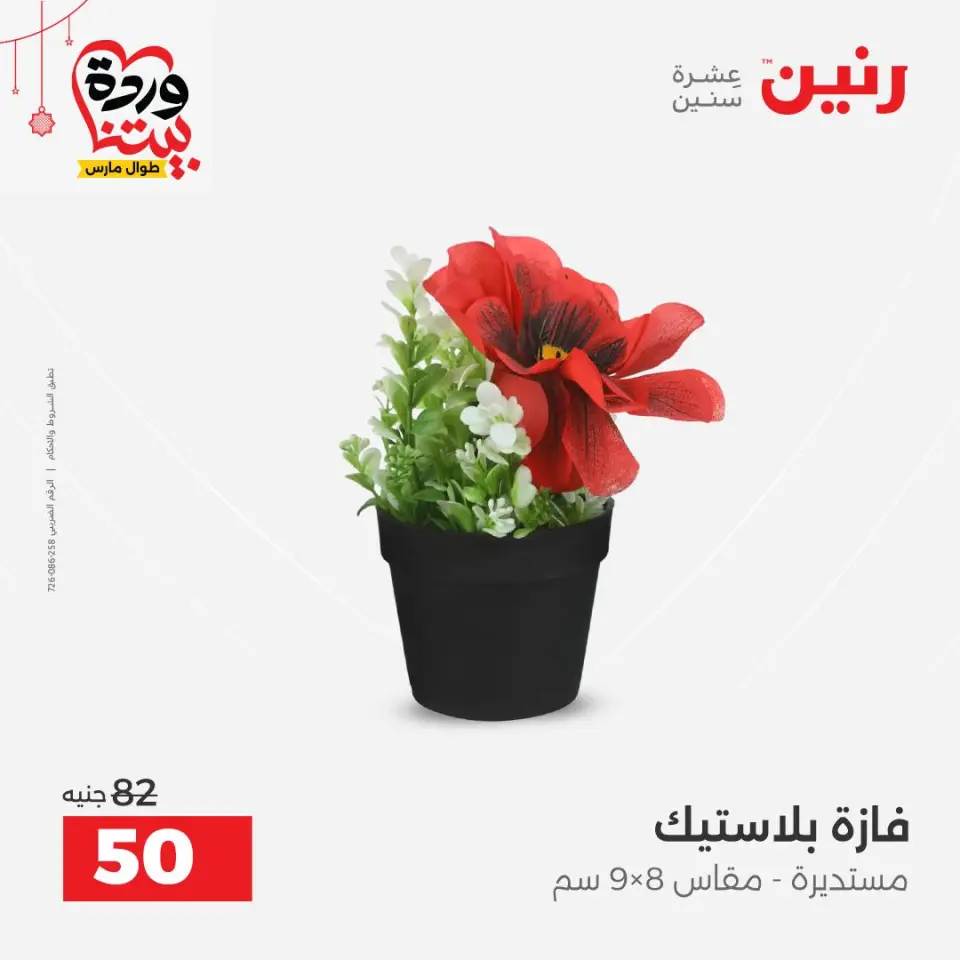 عروض رنين مصر من ٢٢ حتى ٢٥ مارس ٢٠٢٦ عروض الهدايا والديكورات - صفحة 45