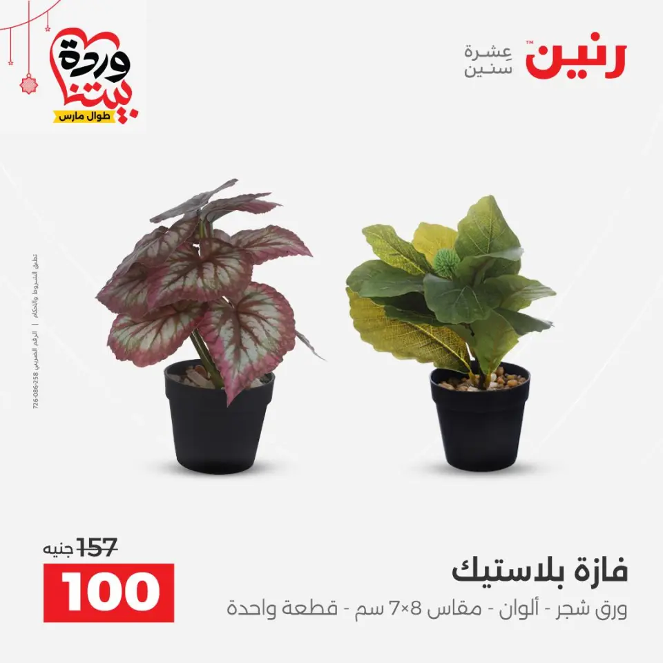 عروض رنين مصر من ٢٢ حتى ٢٥ مارس ٢٠٢٦ عروض الهدايا والديكورات - صفحة 44