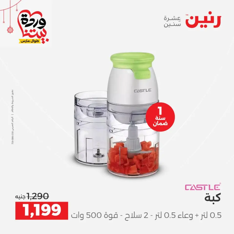 Raneen Egypt offers from 22 to 25 March 2026 Electrical appliances offers - Page 31