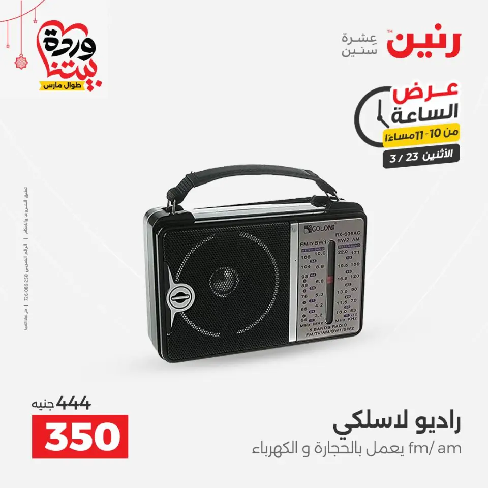 Raneen Egypt offers Monday 23 March 2026 Hour offer - Page 31