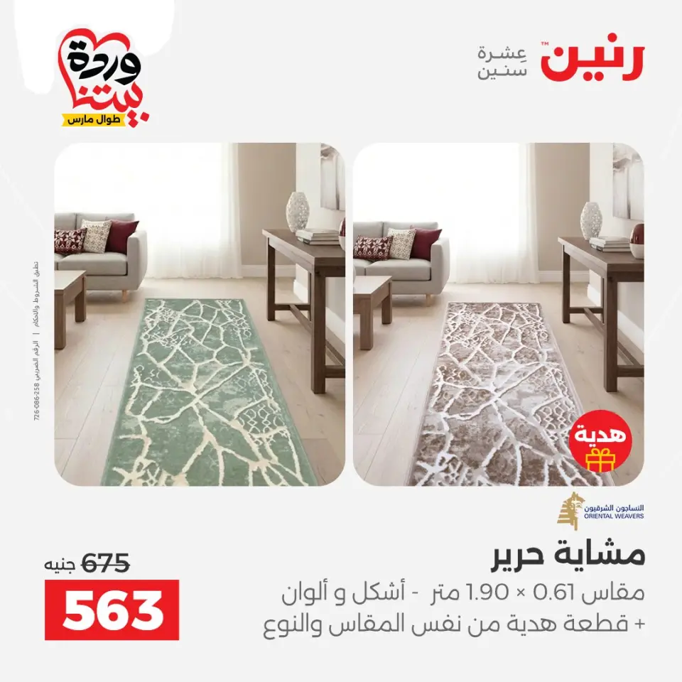 Raneen Egypt offers from 24 to 25 March 2026 Great discounts on textiles and furniture - Page 31