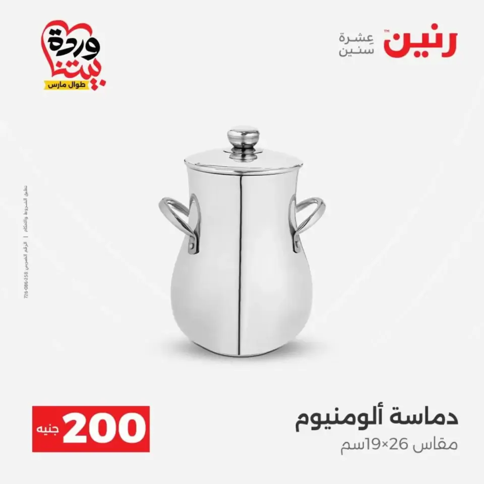 Raneen offers from 29 to 30 March 2026 200 EGP Home Tools Offer - Page 20