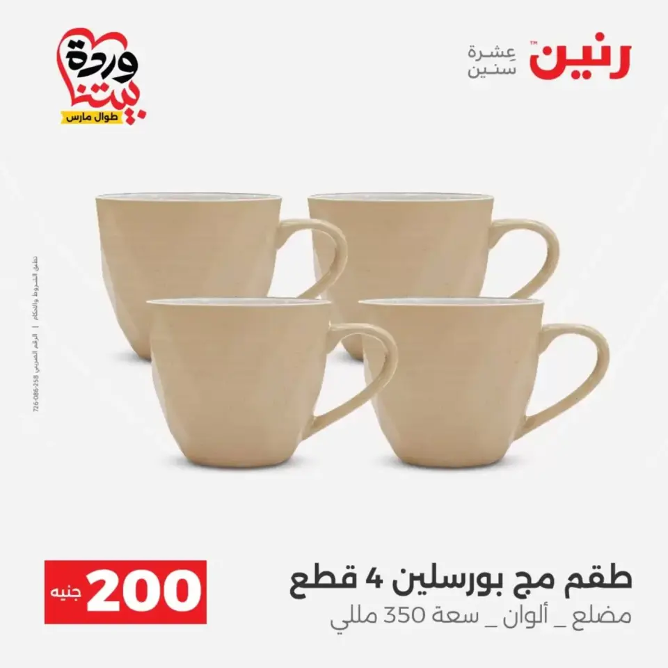 Raneen offers from 29 to 30 March 2026 200 EGP Home Tools Offer - Page 39
