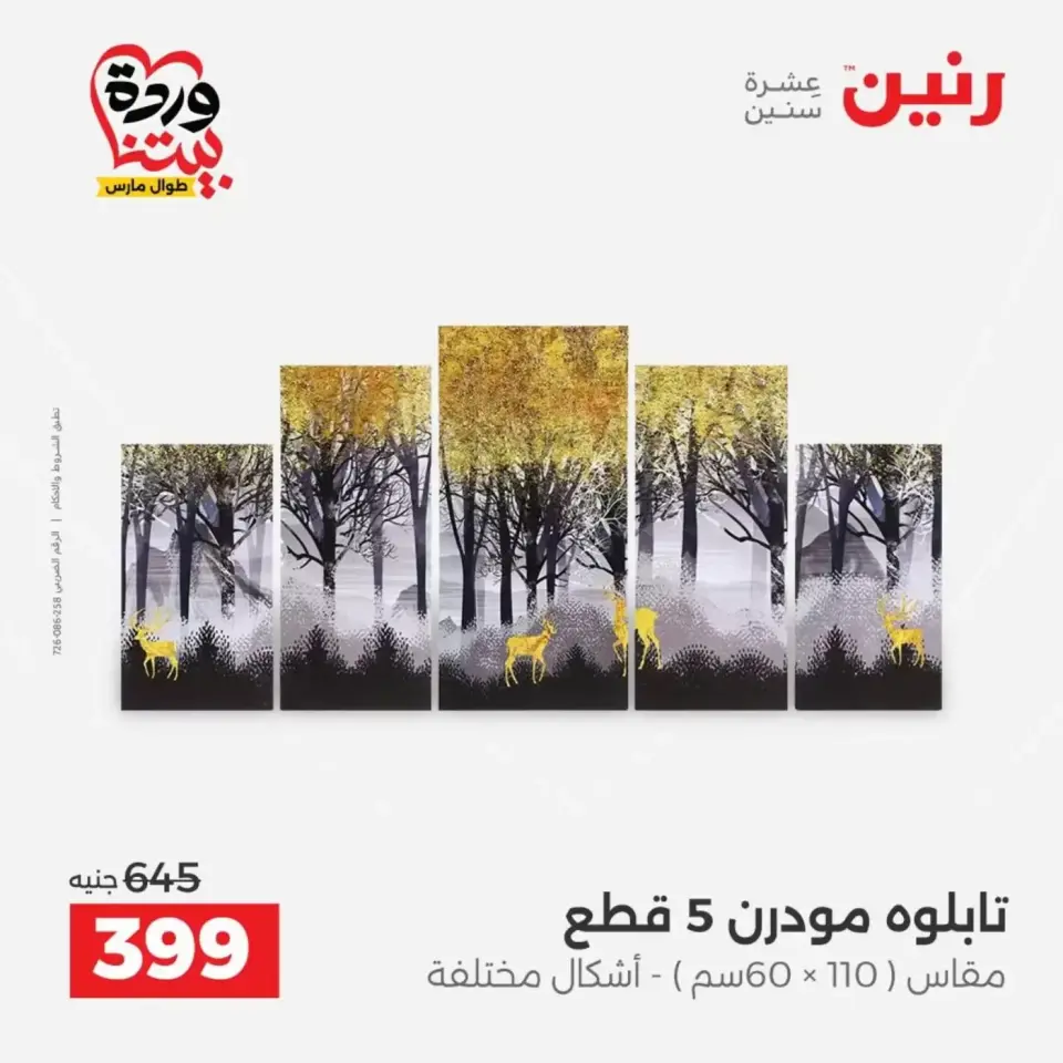 عروض رنين من ٣١ مارس حتى ١ أبريل ٢٠٢٦ عروض هدايا وديكورات - صفحة 2