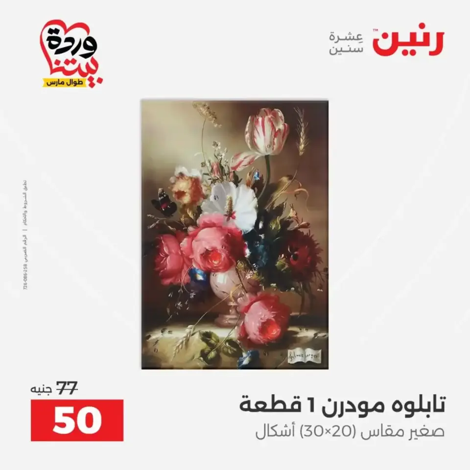 عروض رنين من ٣١ مارس حتى ١ أبريل ٢٠٢٦ عروض هدايا وديكورات - صفحة 14