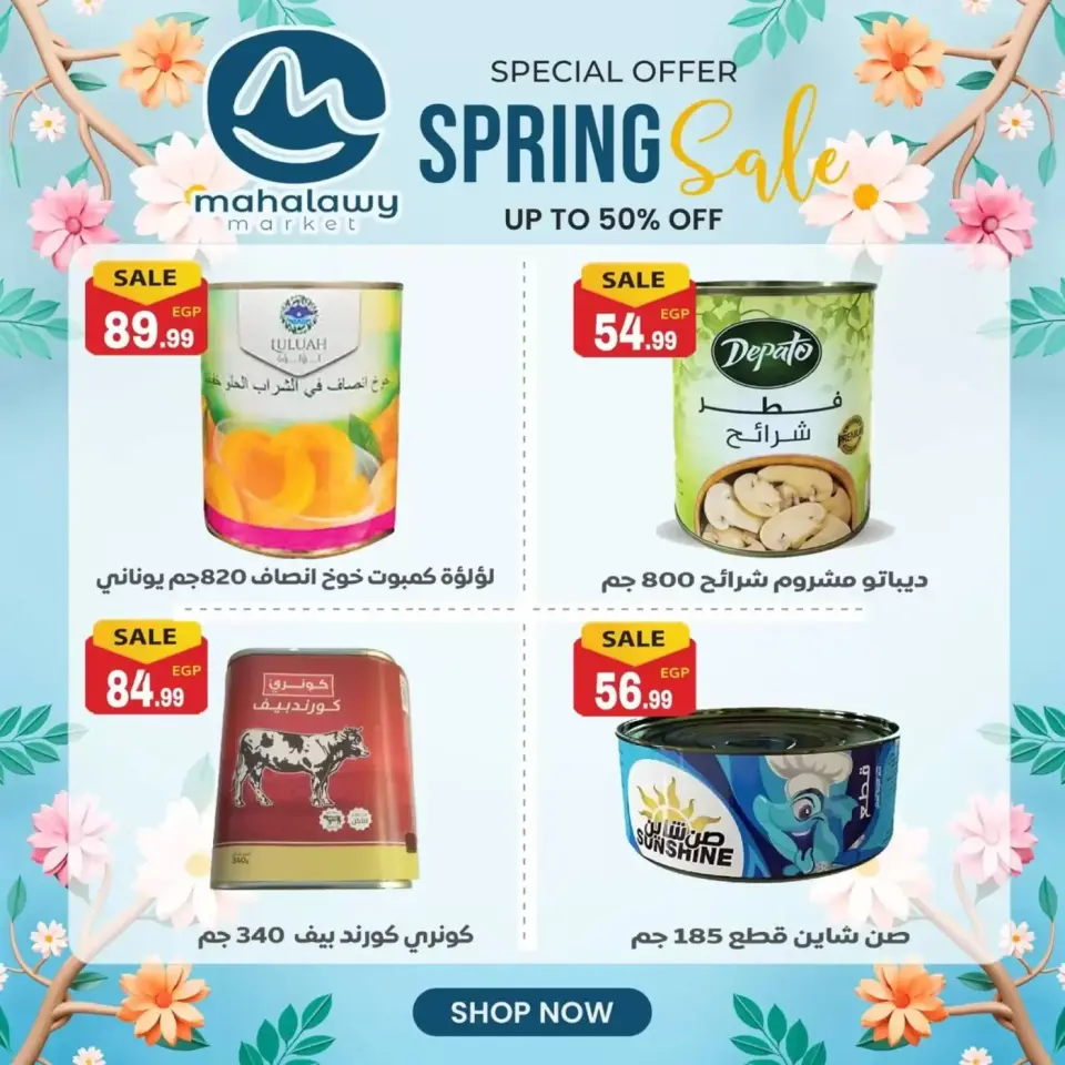 Ofertas de El mhallawy Sons de 31 marzo a 4 abril 2026 Oferta de primavera - Página 28