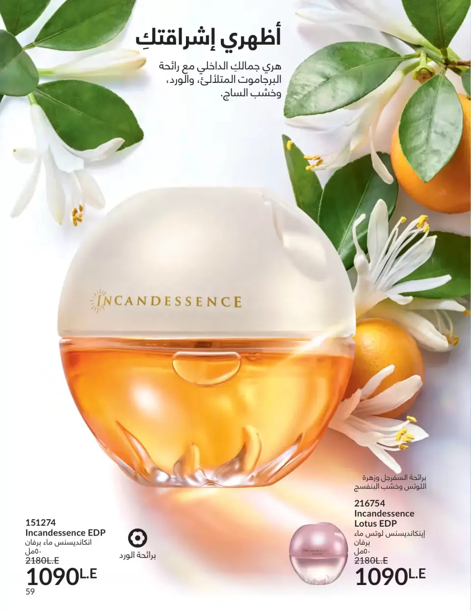 Avon Egypt offers from 1 to 30 April 2026 Shine with a special radiance - Page 58