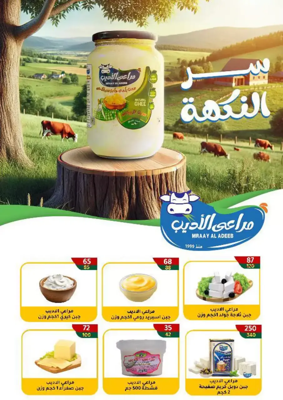 Wekalet Elmansoura Egypt offers from 6 to 14 April 2026 Easter offers - Page 12